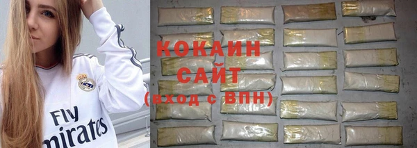 apvp Белокуриха