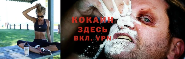 apvp Белокуриха