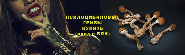 apvp Белокуриха