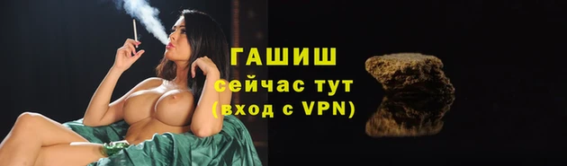 apvp Белокуриха