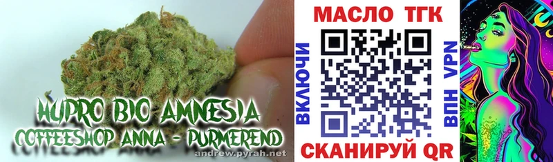 Купить где  Октябрьск  Дистиллят ТГК гашишное масло 