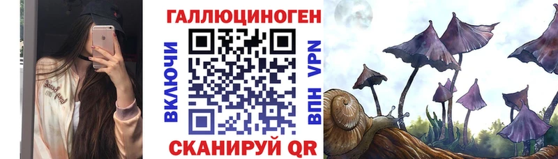 Купить где  Октябрьск  Псилоцибиновые грибы Cubensis 